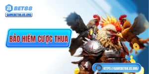 Bảo Hiểm Cược Thua Tại BET88 Cá Cược Đá Gà Không Lo Lỗ!