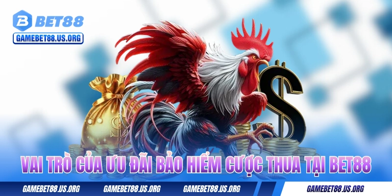Vai trò của ưu đãi bảo hiểm cược thua tại BET88 