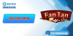 Cách Chơi Fan Tan
