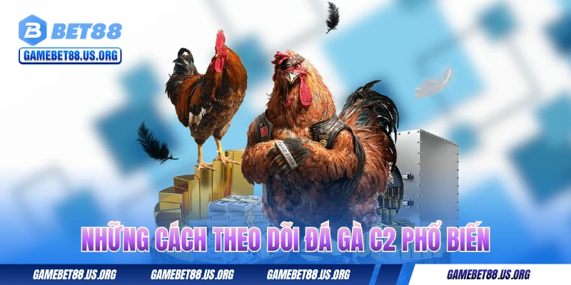 Những cách theo dõi đá gà C2 phổ biến