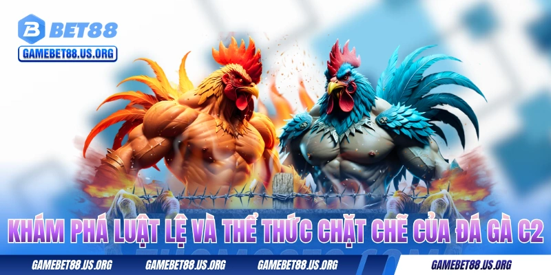 Khám phá luật lệ và thể thức chặt chẽ của đá gà C2
