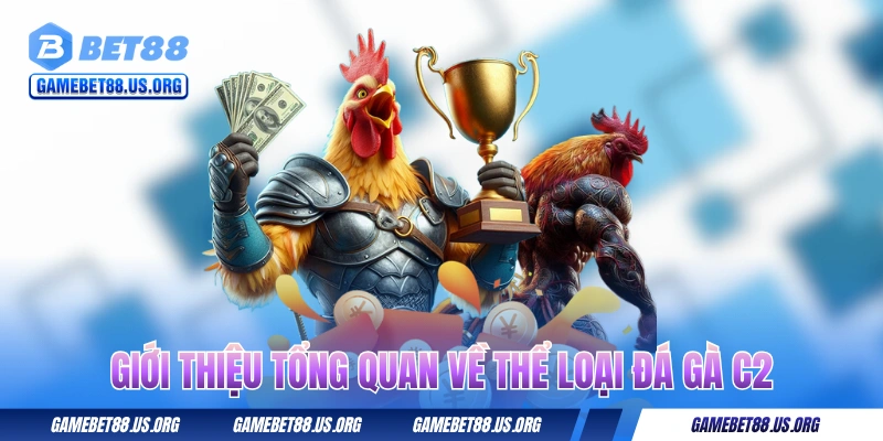 Giới thiệu tổng quan về thể loại đá gà C2