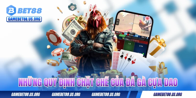 Những quy định chặt chẽ của các trận đá gà cựa dao
