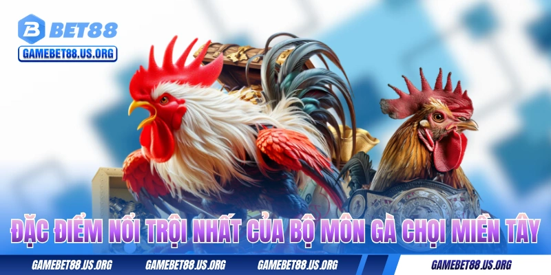 Đặc điểm nổi trội nhất của bộ môn gà chọi miền Tây 