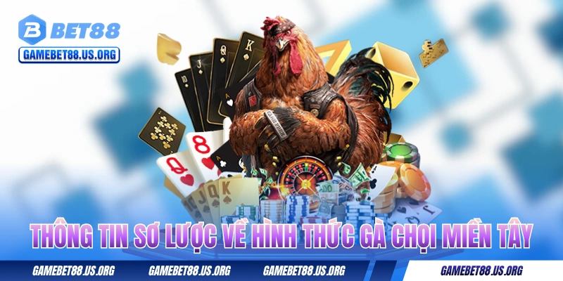 Thông tin sơ lược về hình thức gà chọi miền Tây 