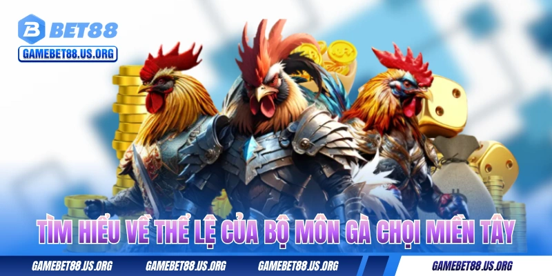 Tìm hiểu về thể lệ của bộ môn gà chọi miền Tây