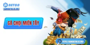 Gà Chọi Miền Tây: Biểu Tượng Văn Hóa Vùng Miền Sông Nước