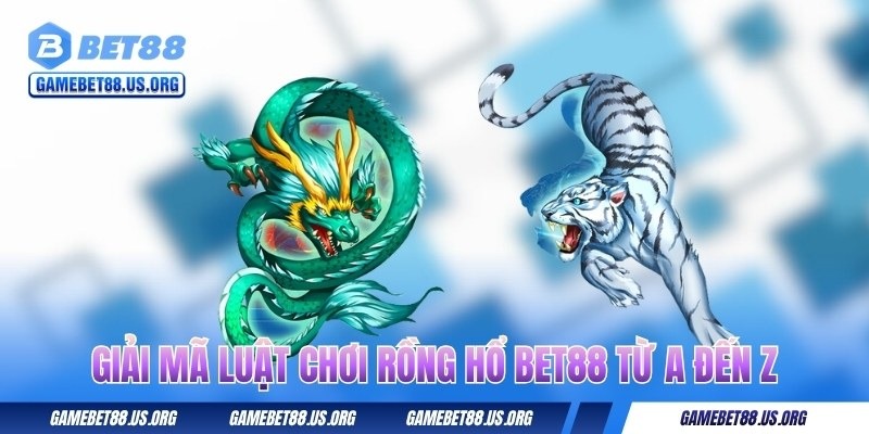 giai-ma-luat-choi-rong-ho-bet88-tu-a-den-z
