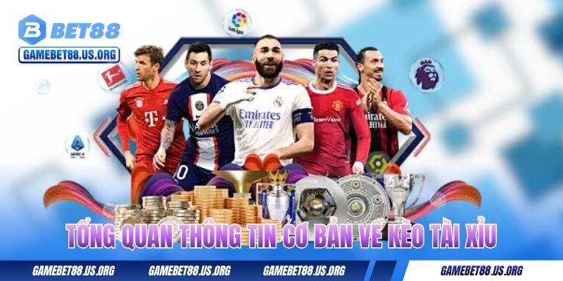 Tổng quan thông tin cơ bản về kèo tài xỉu