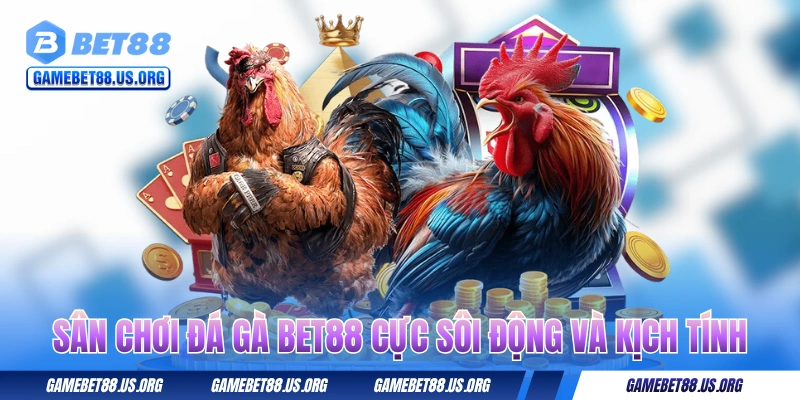 Sân chơi đá gà BET88 cực sôi động và kịch tính